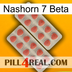 Rhino 7 Beta 19